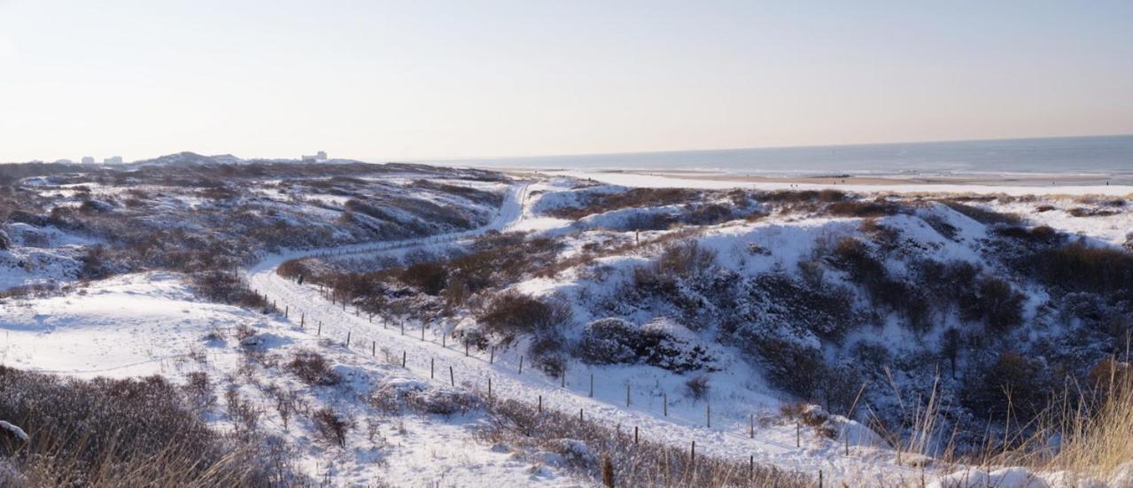 Dunes&Sea at Kijkduin Den Haag Buitenkant foto